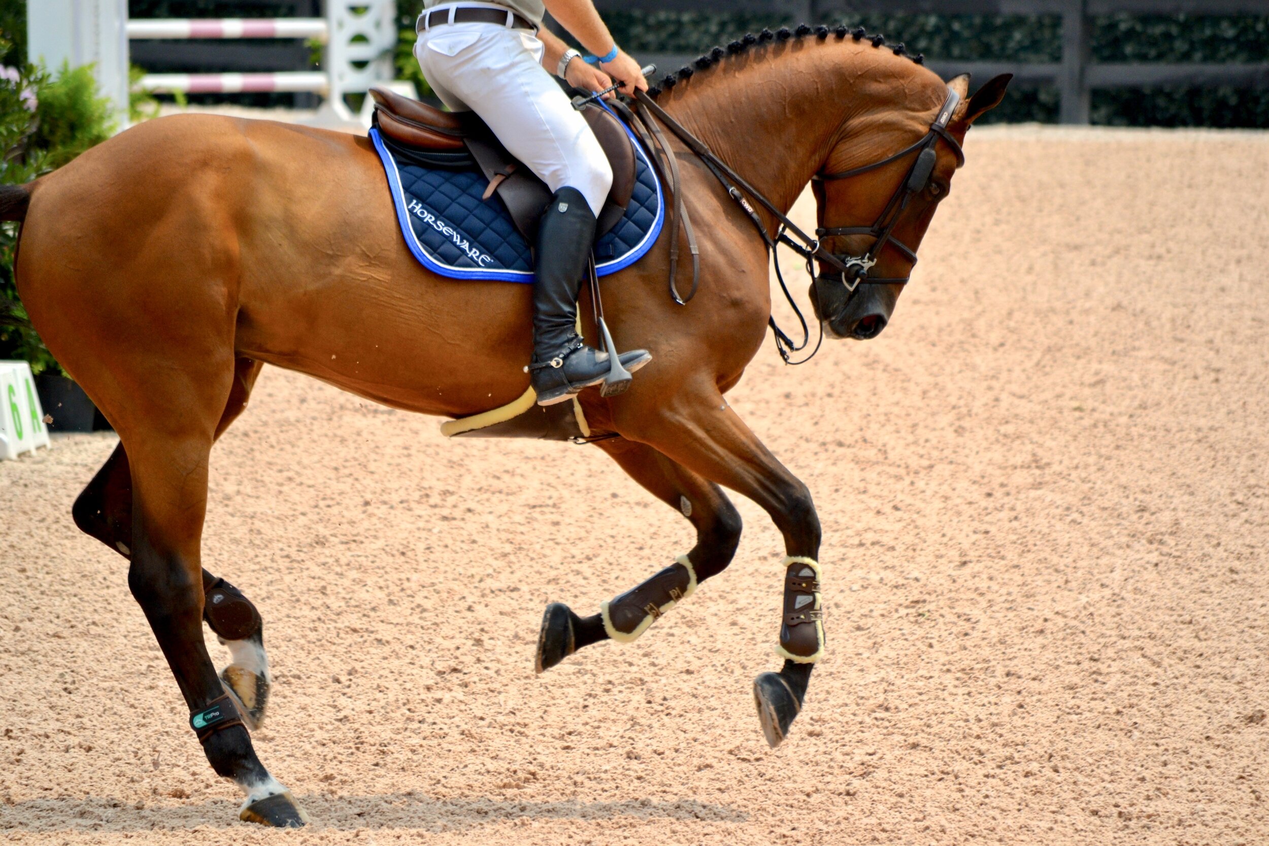 Emily Brinks Photography