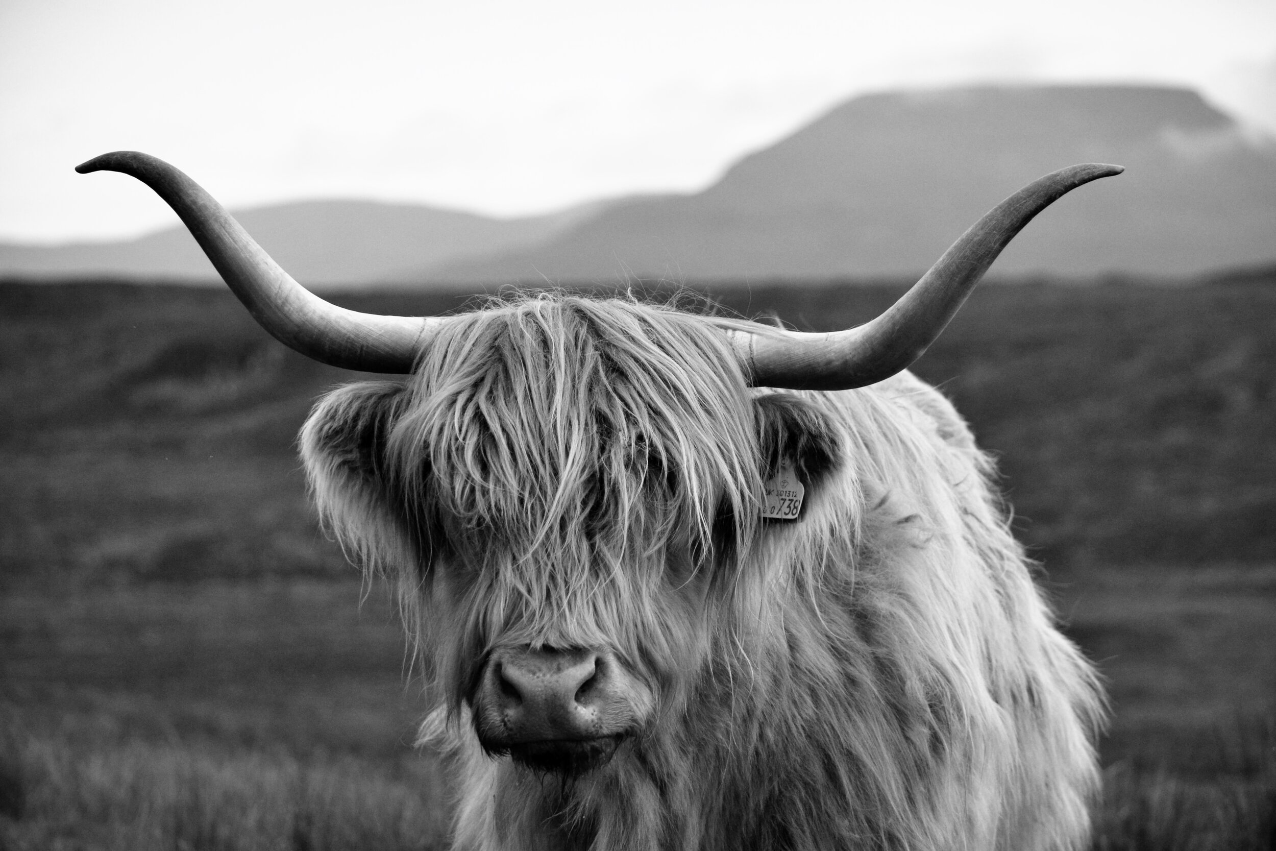 Emily Brinks Photography