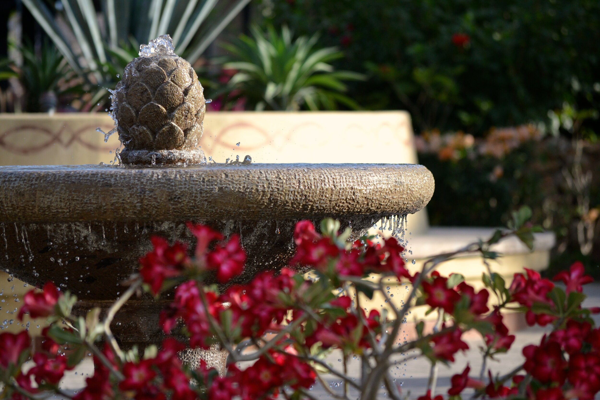 Emily Brinks Photography