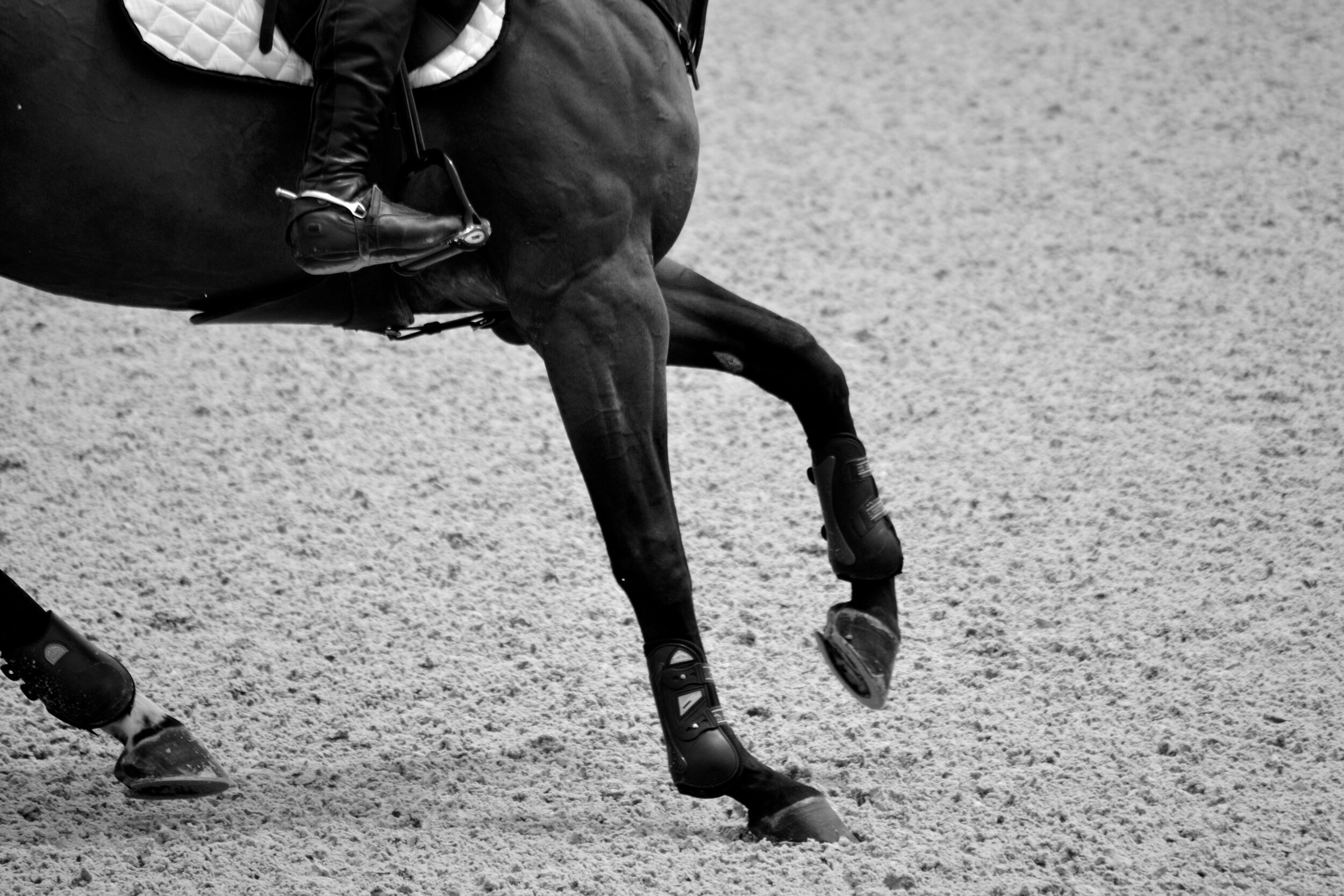 Emily Brinks Photography