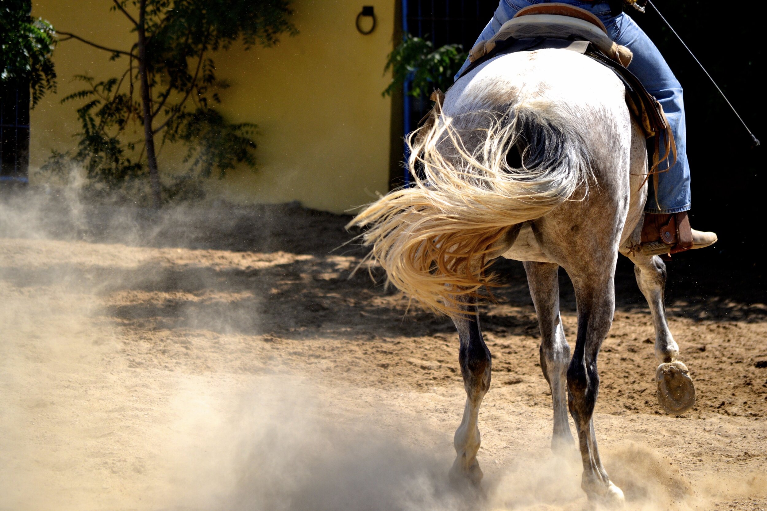 Emily Brinks Photography