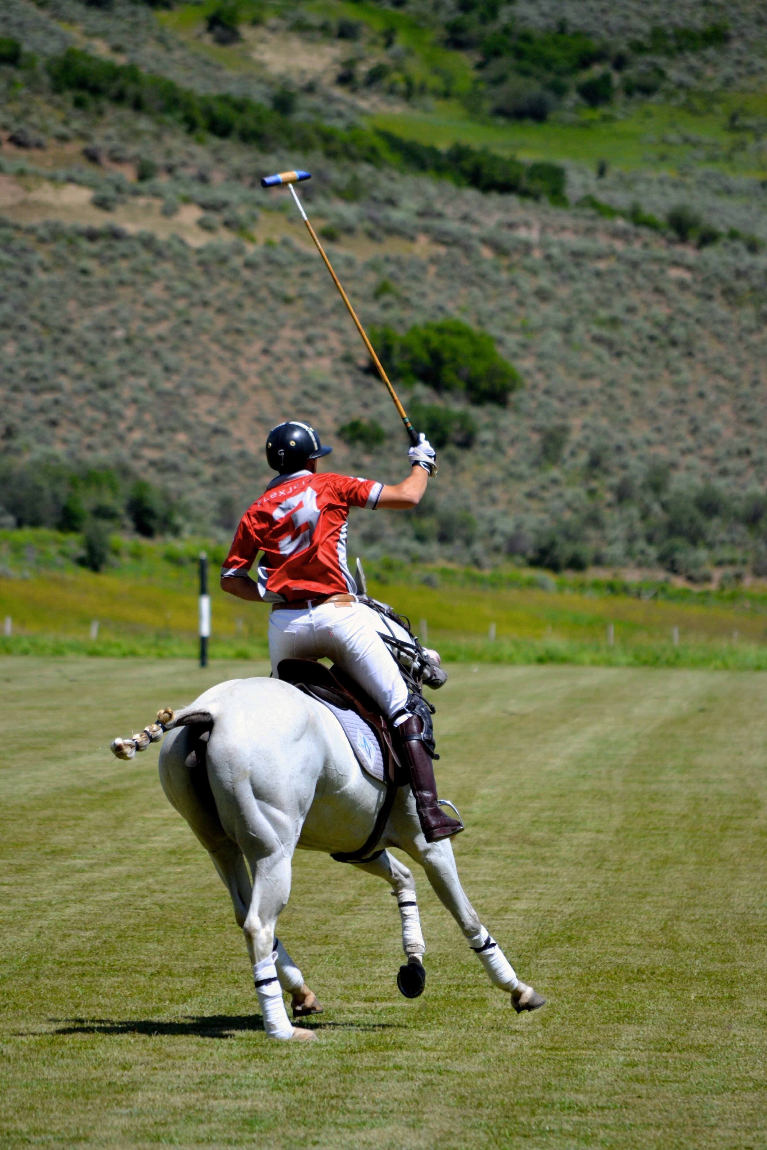 Emily Brinks Photography