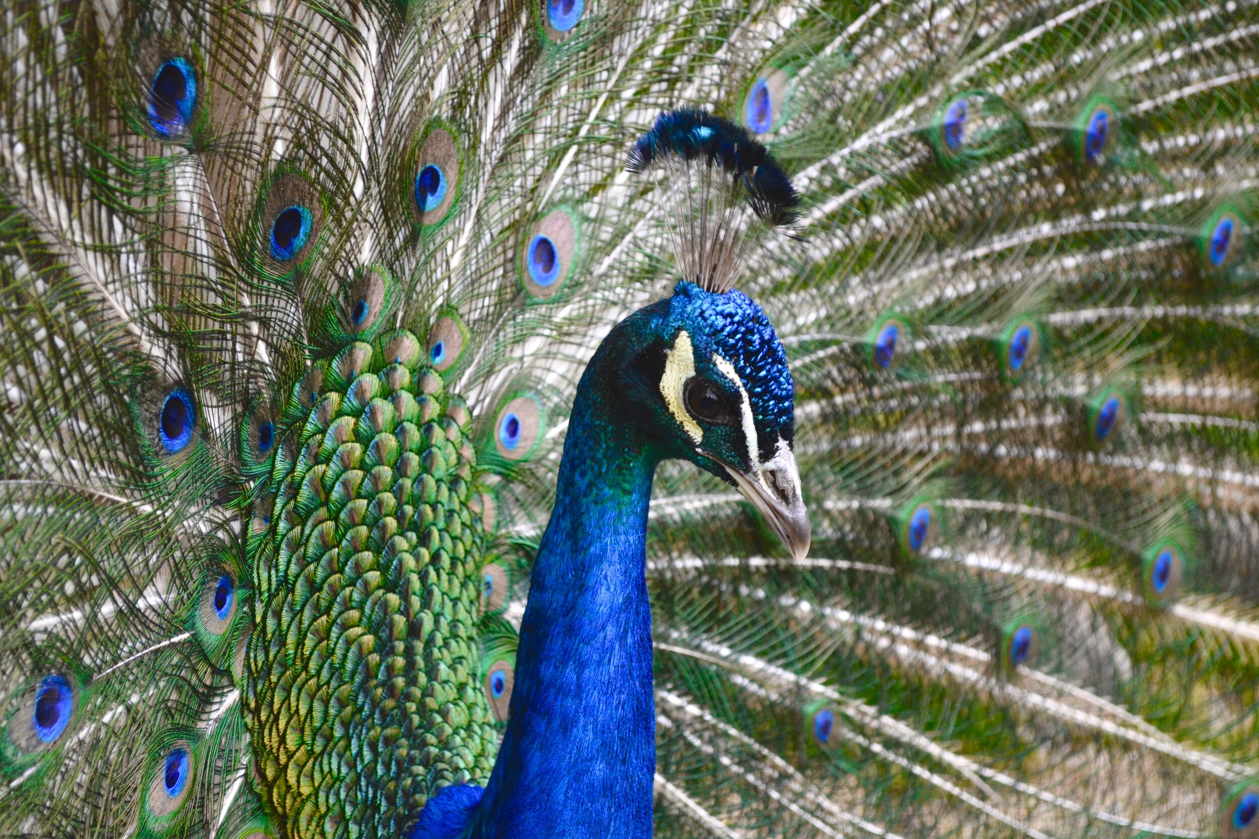 Emily Brinks Photography