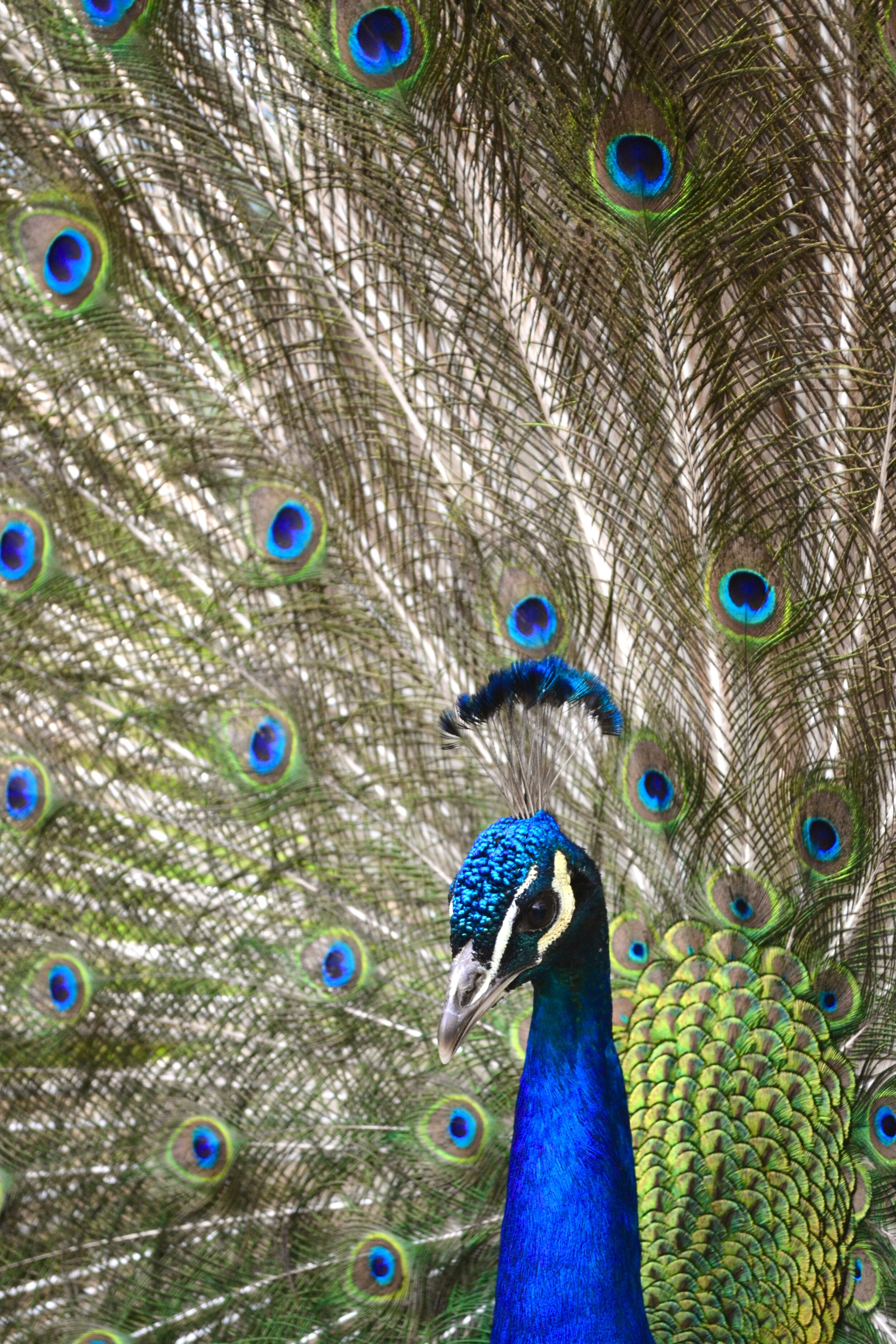 Emily Brinks Photography