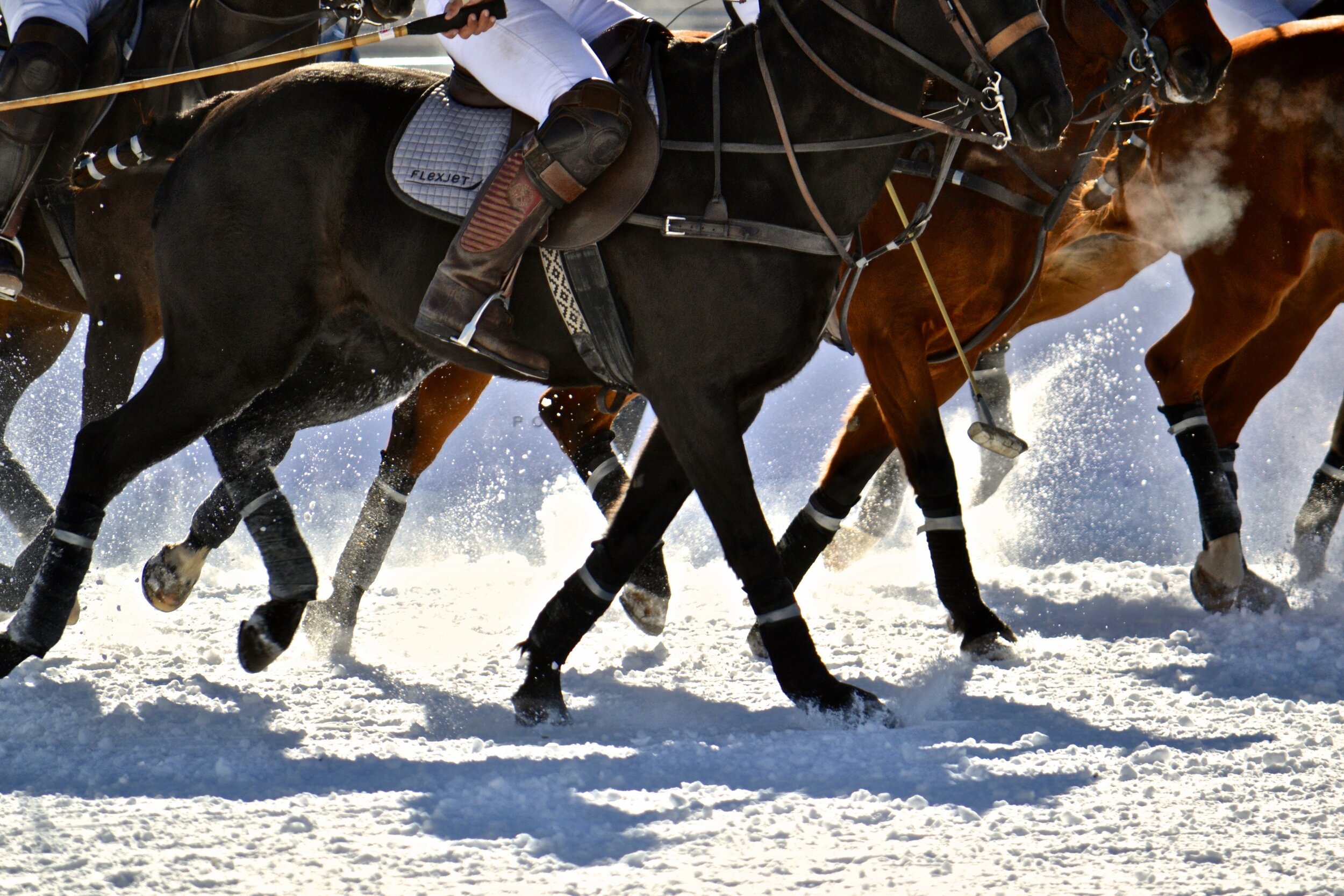 Emily Brinks Photography