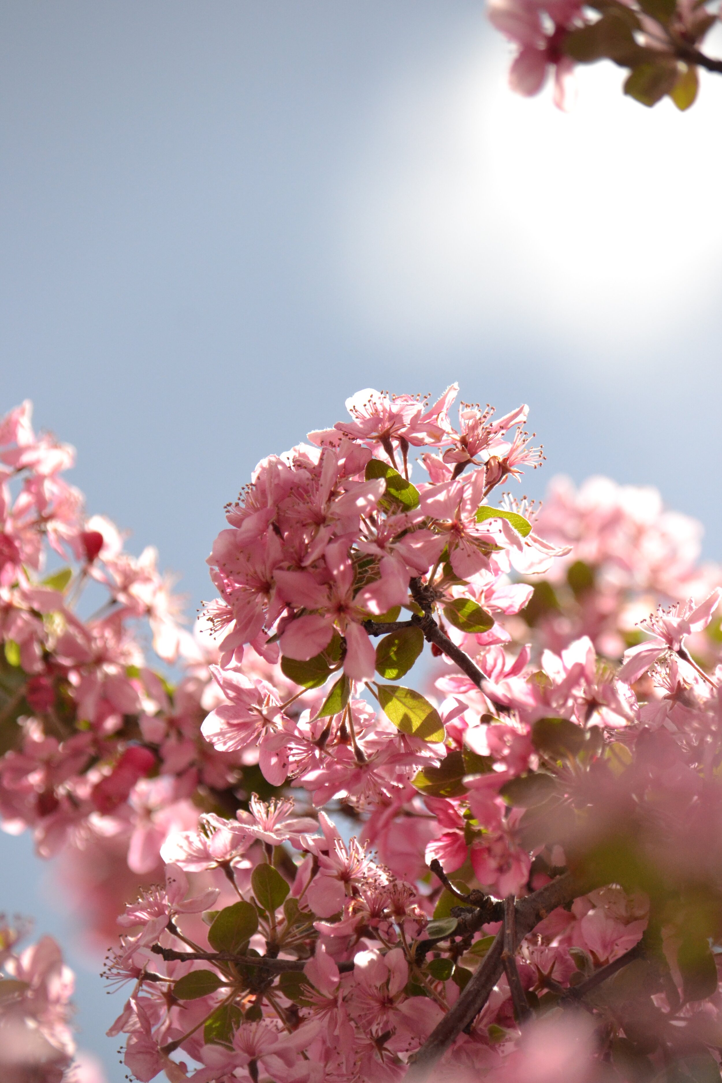 Emily Brinks Photography