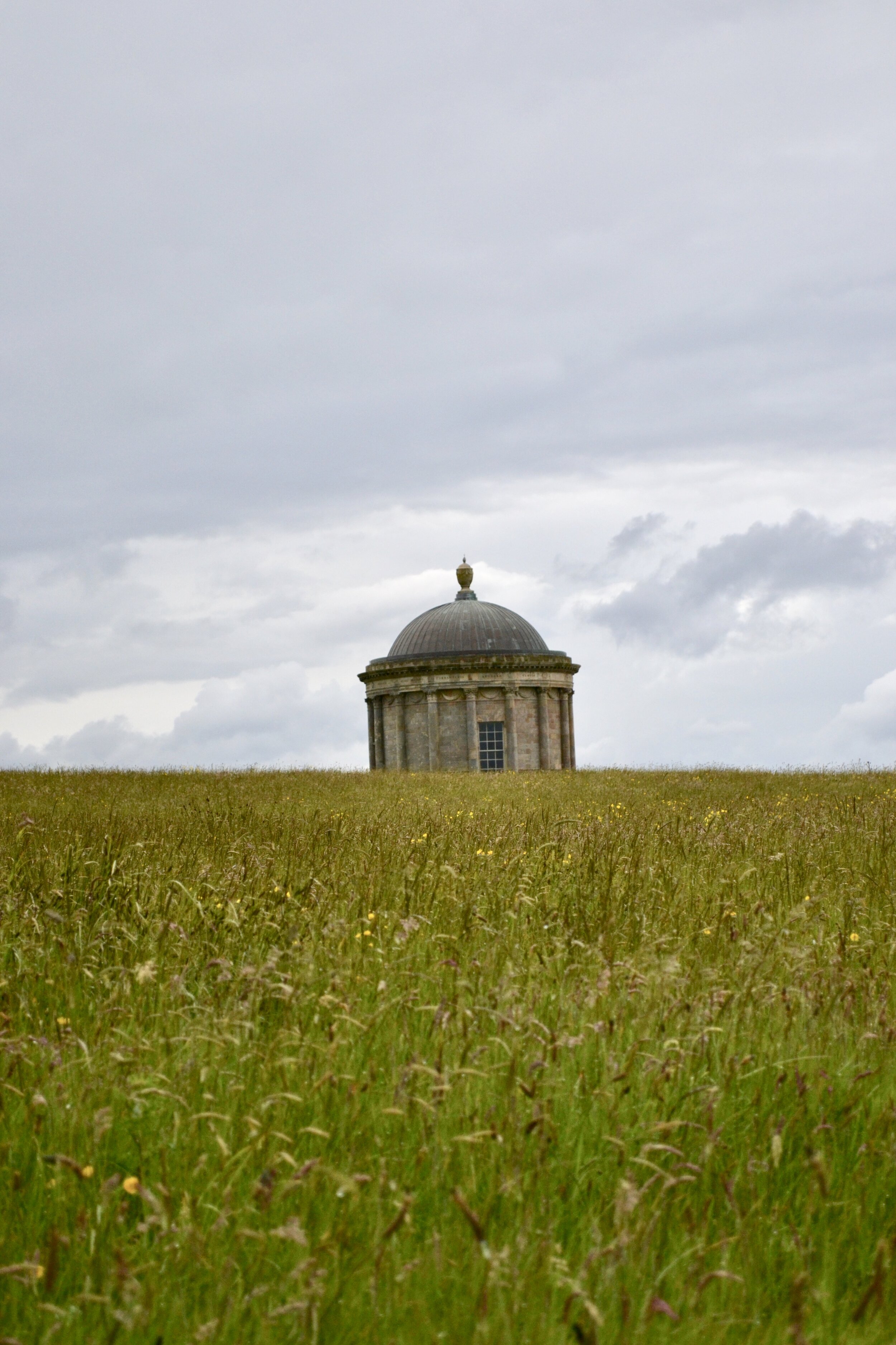 Emily Brinks Photography