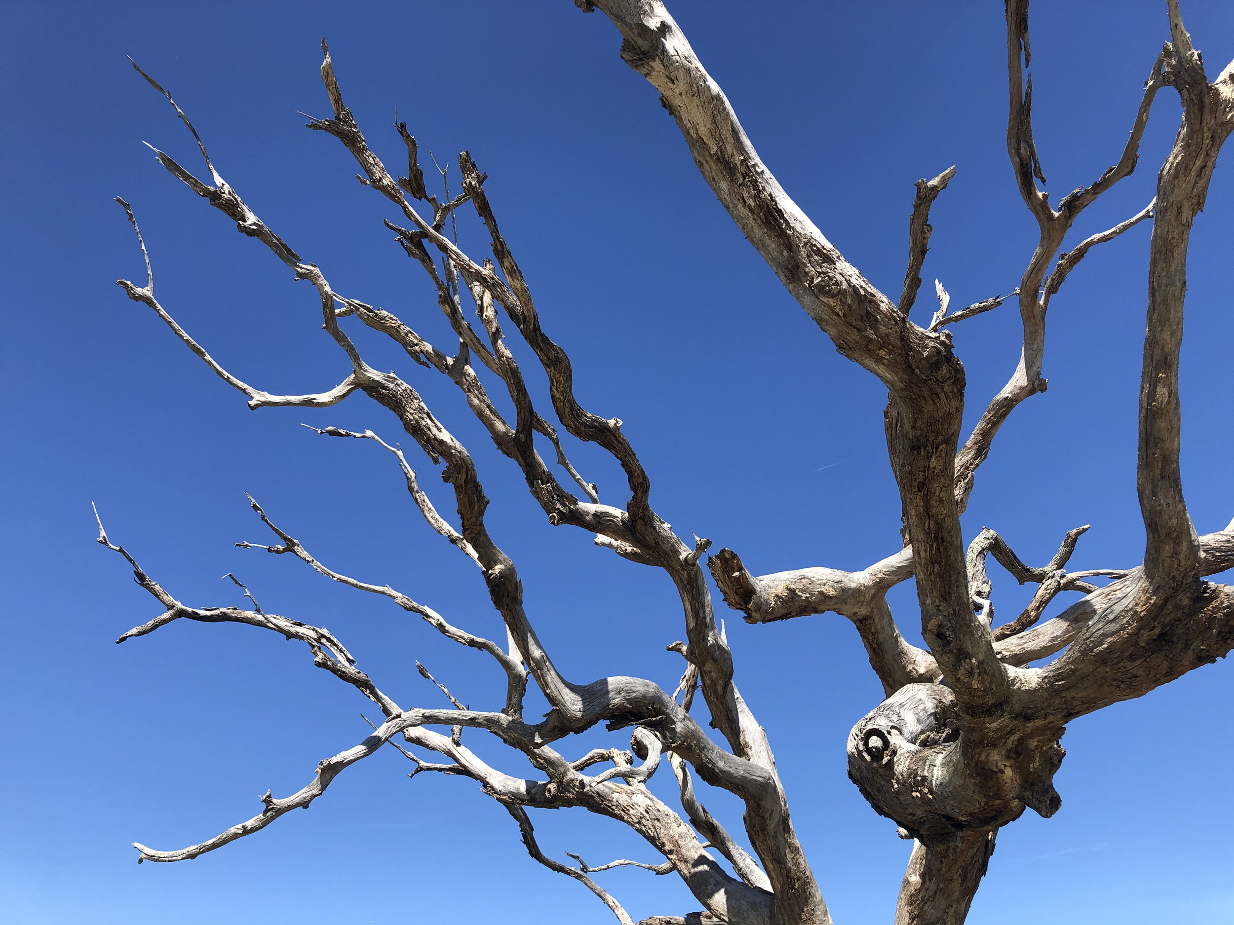 Emily Brinks Photography